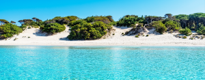 1024 chi siamo spiaggia 2026