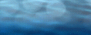 acqua in movimento