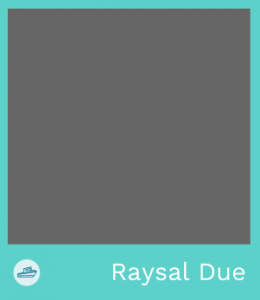 anteprima raysal due