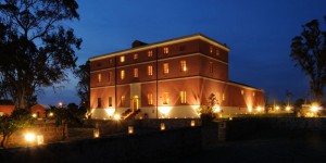 top_dsc_4568